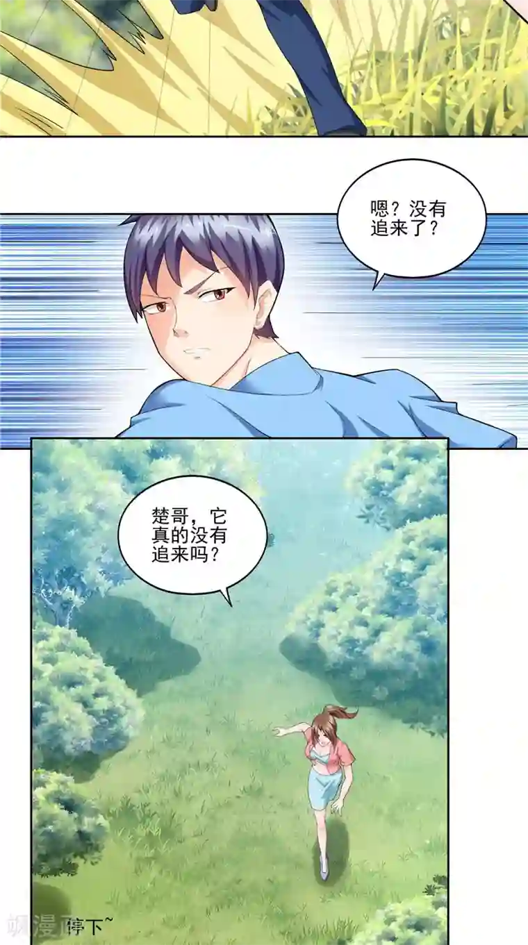 神盗特工第44话 卷入阴谋