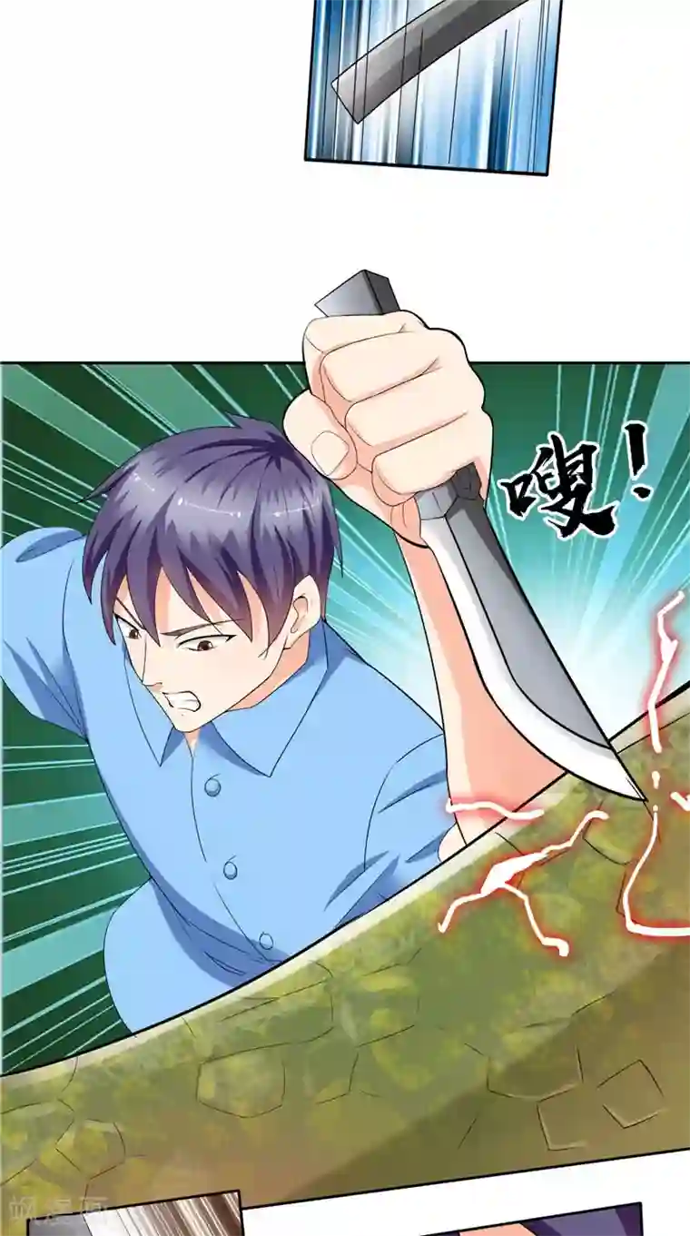 神盗特工第44话 卷入阴谋