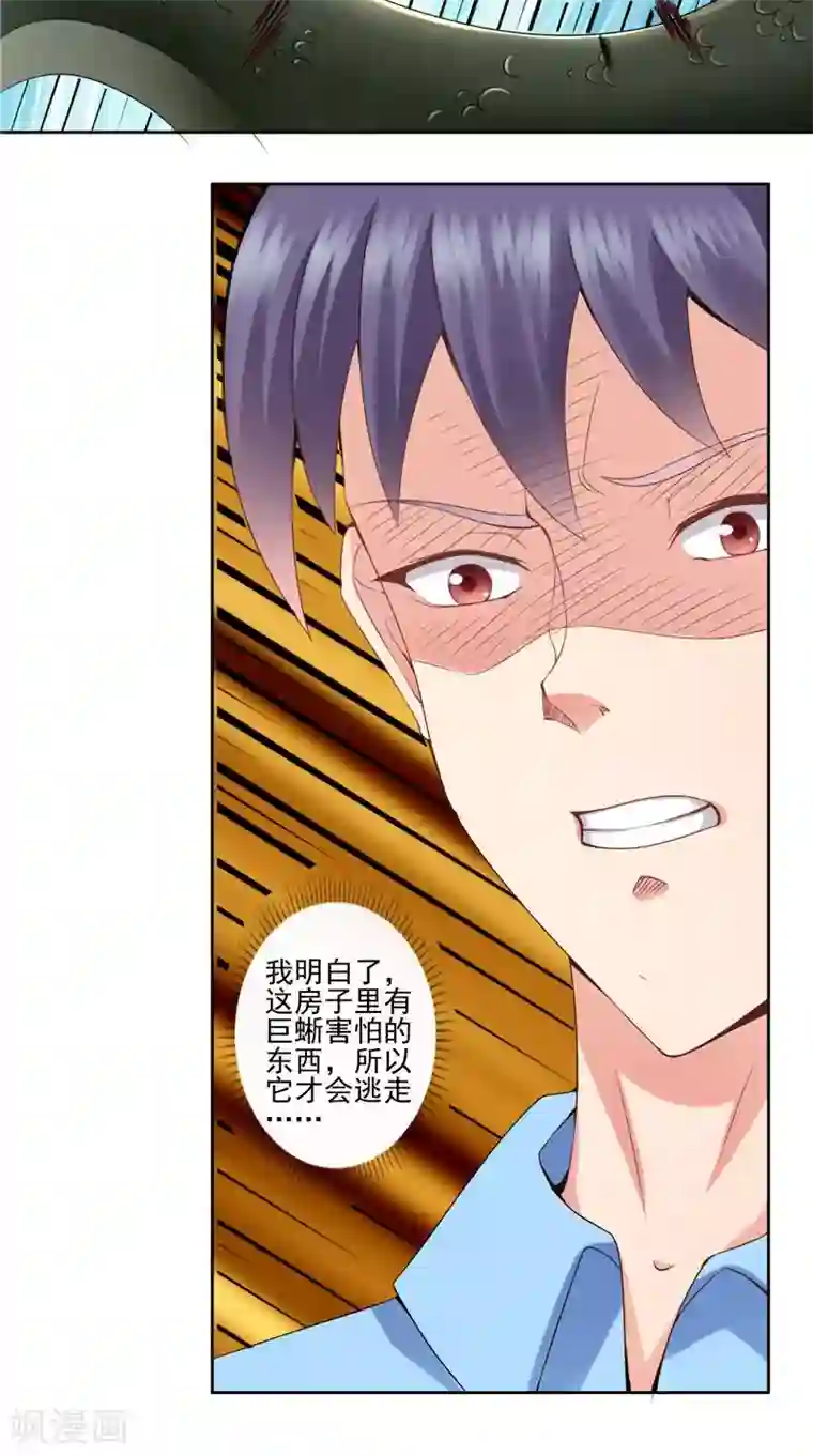 神盗特工第45话 变异的老鼠