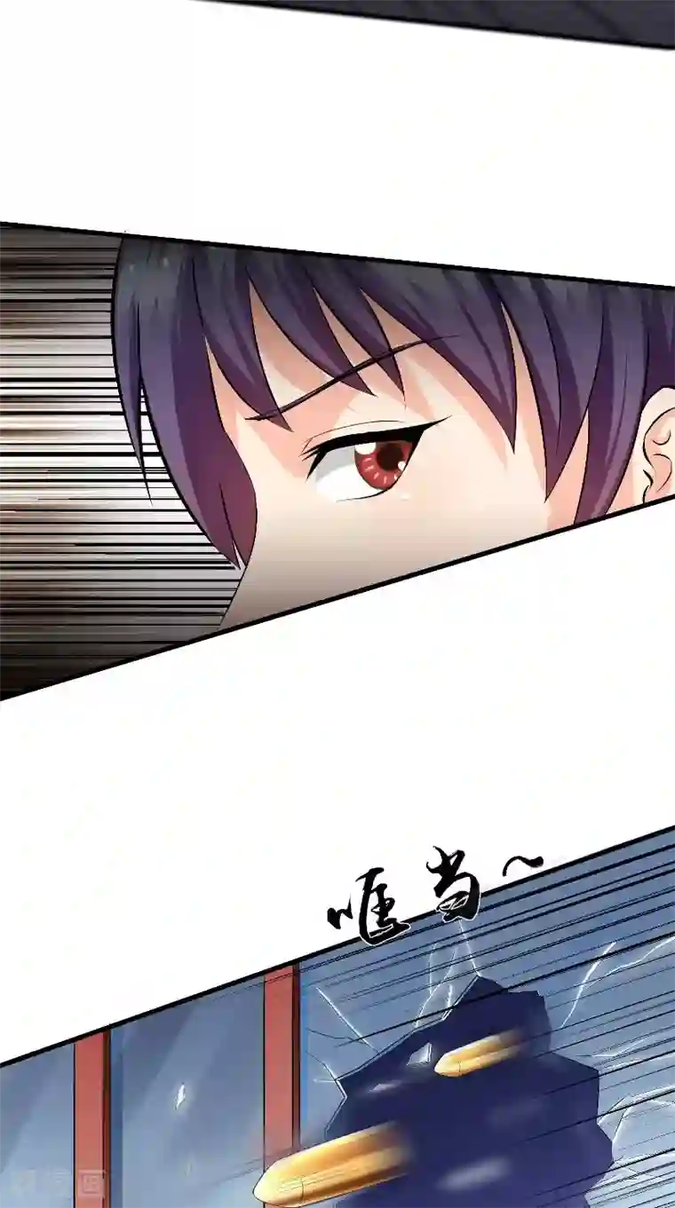 神盗特工第49话 真正的继承人