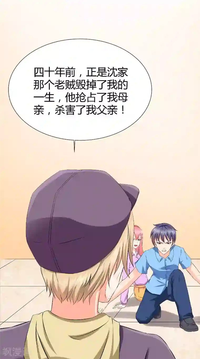 神盗特工第49话 真正的继承人