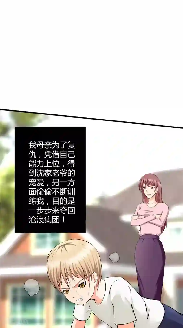 神盗特工第49话 真正的继承人