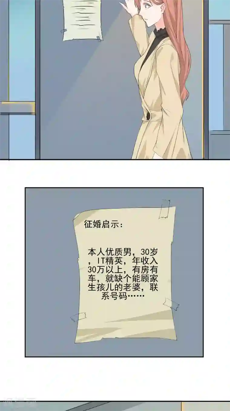 明星小老婆第31话 征婚