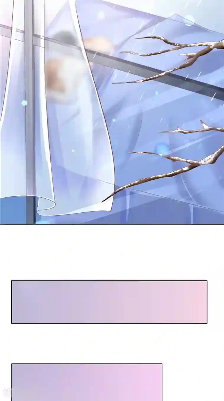 明星小老婆第43话 等你转身