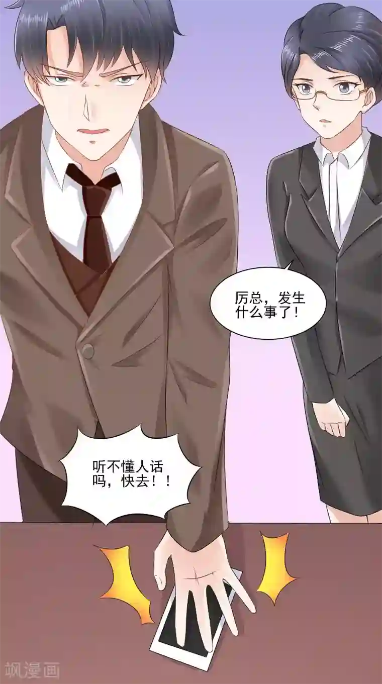 明星小老婆最终话 闹剧收场