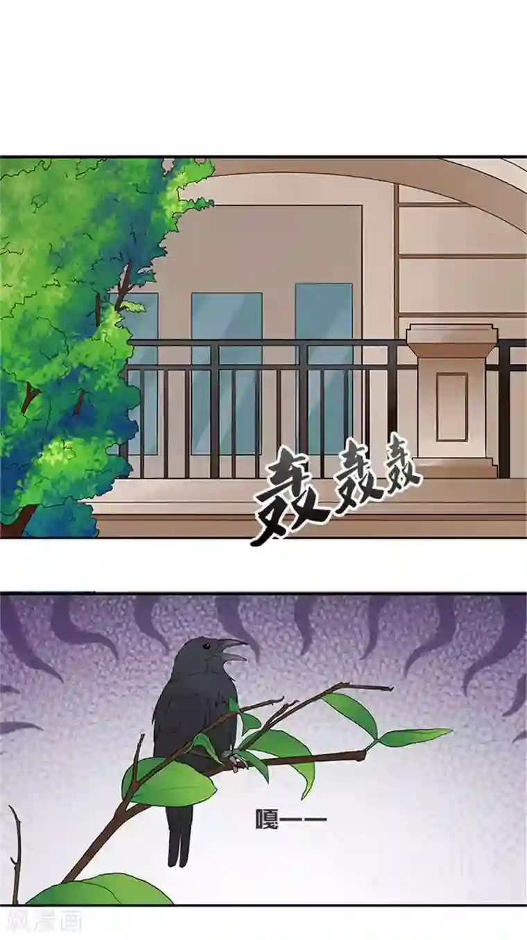 前夫别套路第9话 最后一面都不让我见