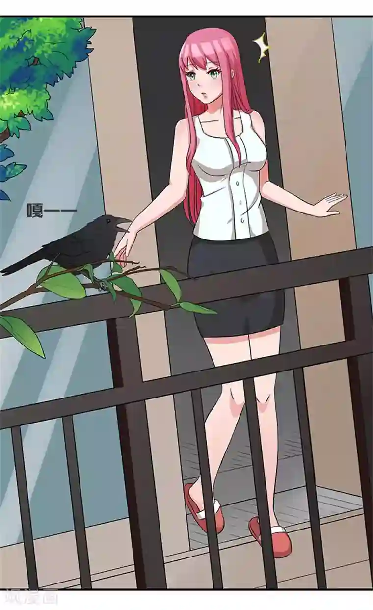 前夫别套路第9话 最后一面都不让我见