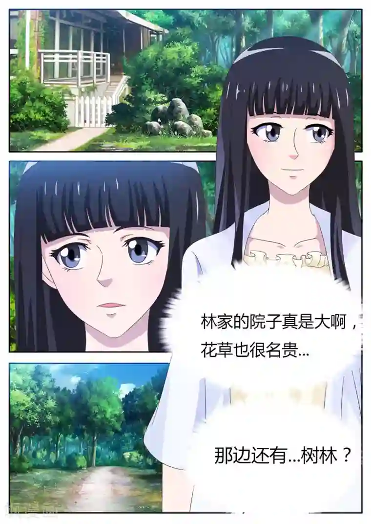 首席总裁的高冷爱人第19话 林间神秘小屋