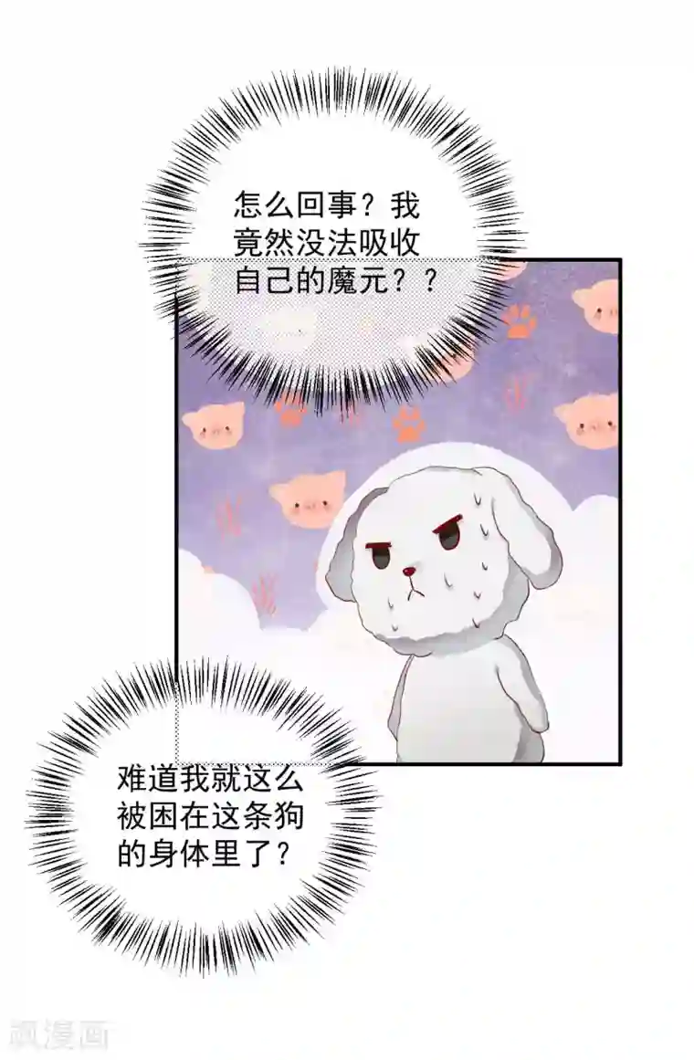 从此王爷不早朝第113话 被围攻了