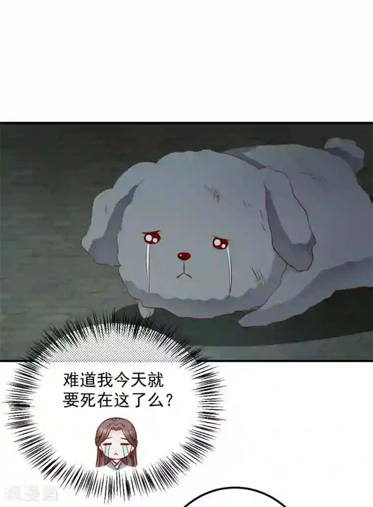 从此王爷不早朝第113话 被围攻了