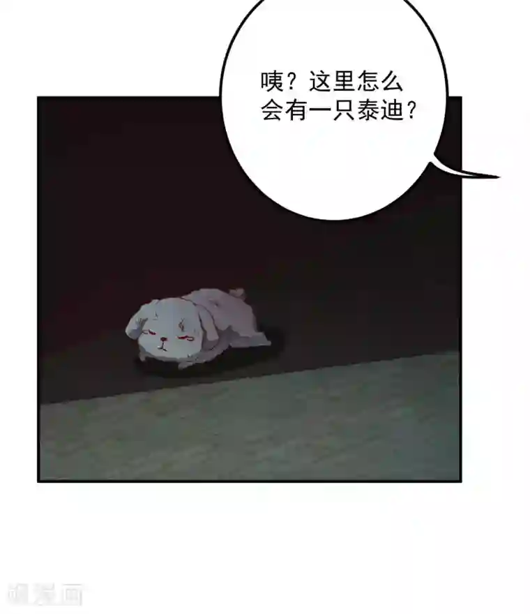 从此王爷不早朝第113话 被围攻了