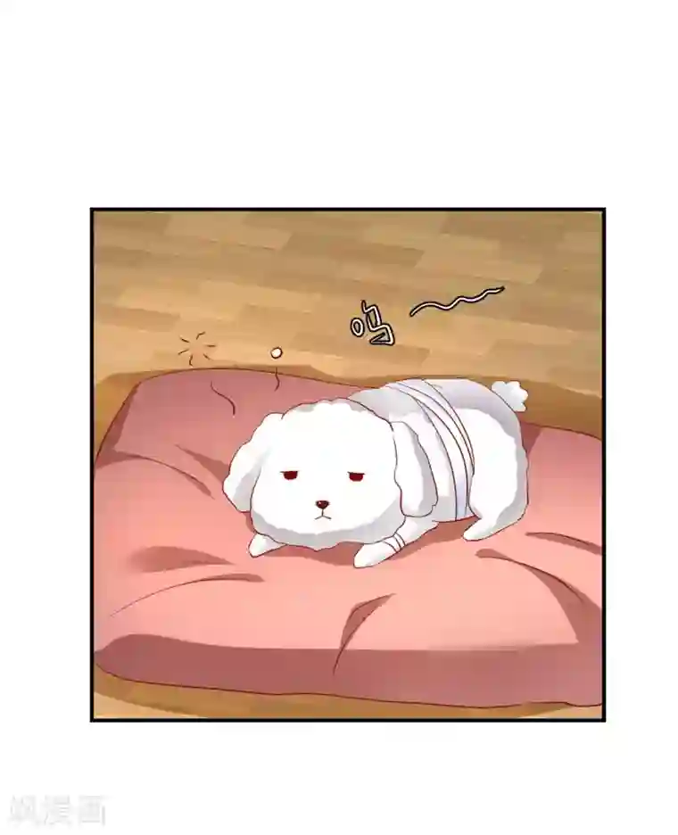 从此王爷不早朝第113话 被围攻了