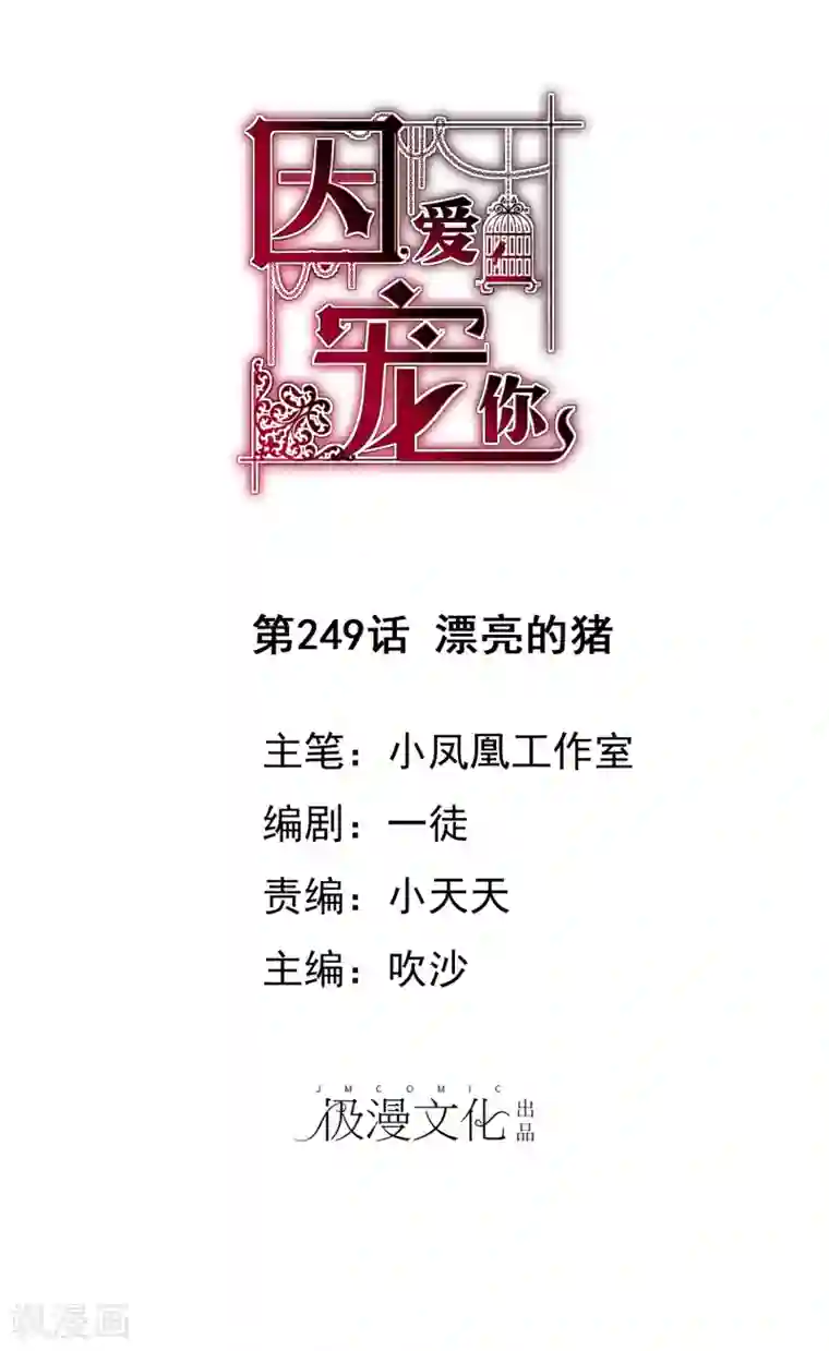 因爱宠你第249话