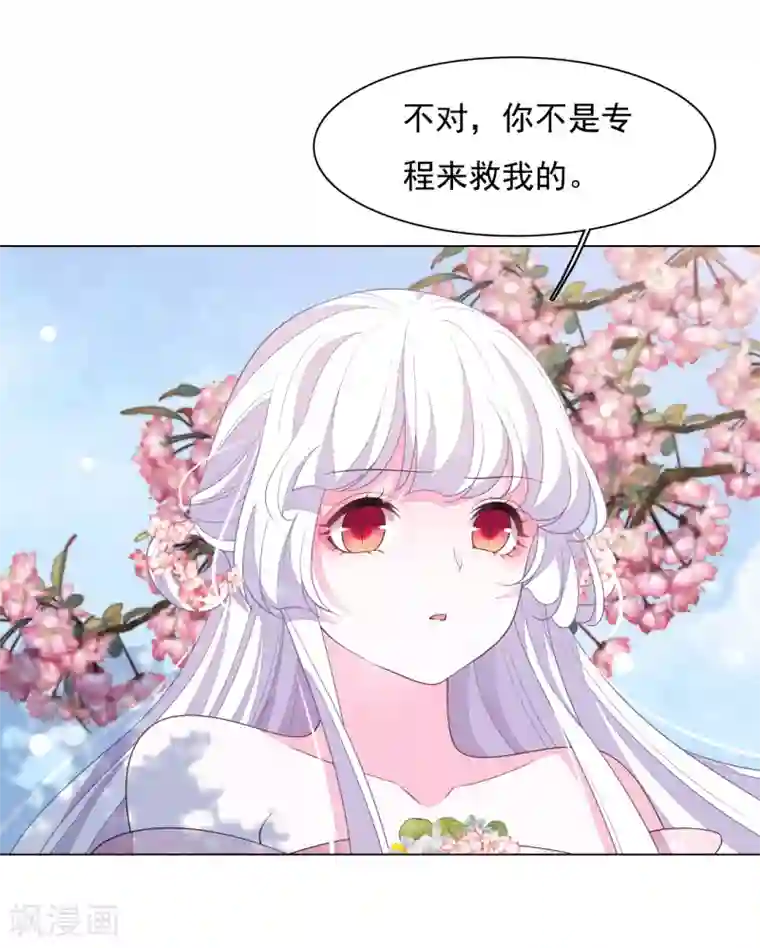 穿回古代做国宝第94话 最好时机