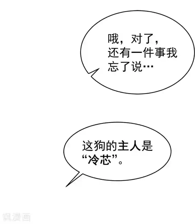 全能高手第80话 药市新主