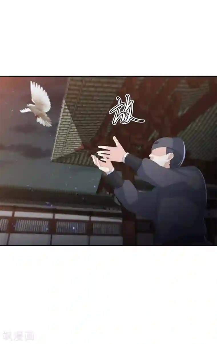 凤凰错:专宠弃妃第31话 我要守疆土，整河山，没空嫁人