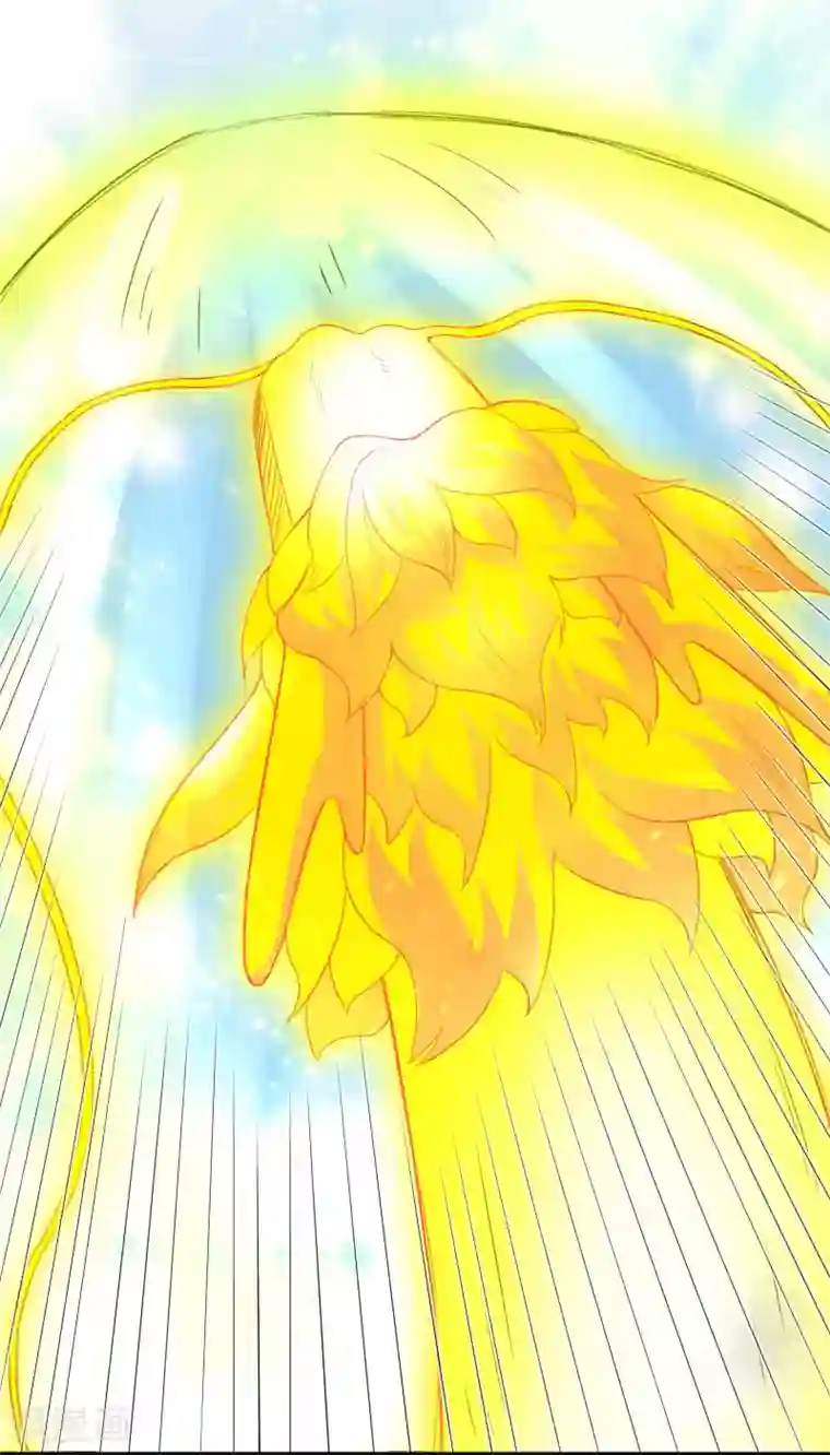 宠狐成妃第289话 誓死一搏