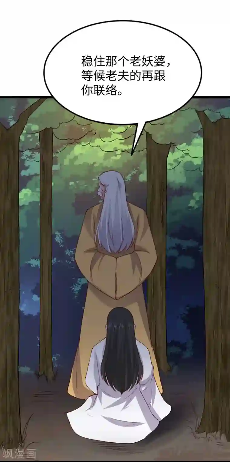 宠狐成妃第291话 间谍