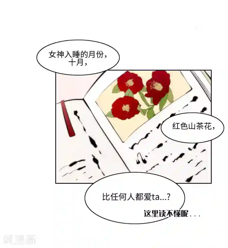 我的吸血哥哥和狼人男友第13话