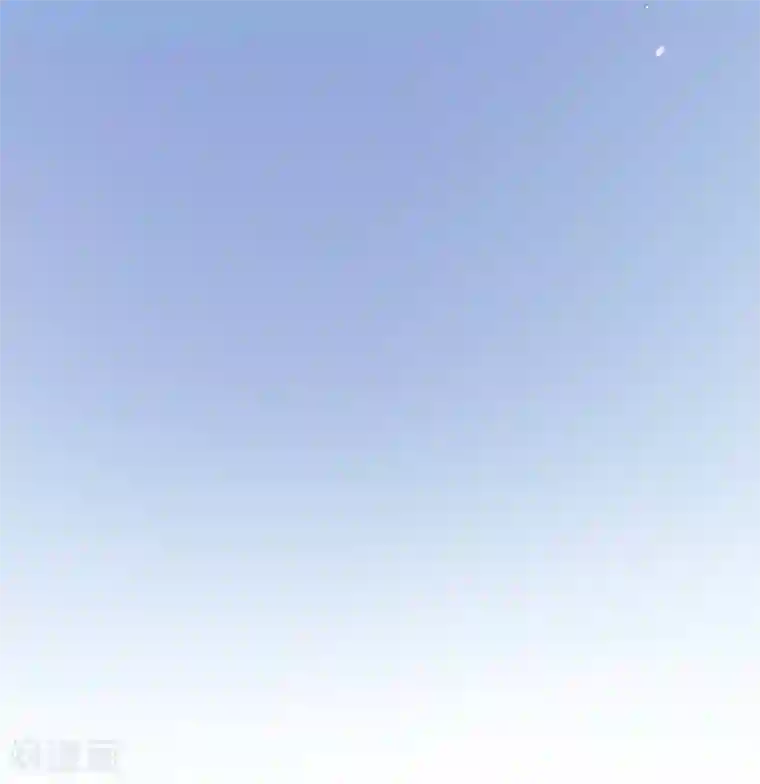 本王妃神藤在手第5话 叶家主怒动家法