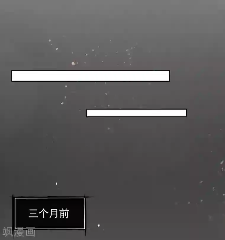 本王妃神藤在手第5话 叶家主怒动家法