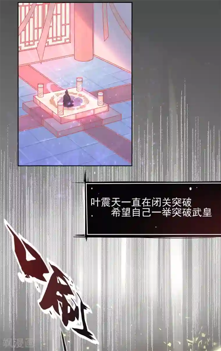 本王妃神藤在手第5话 叶家主怒动家法