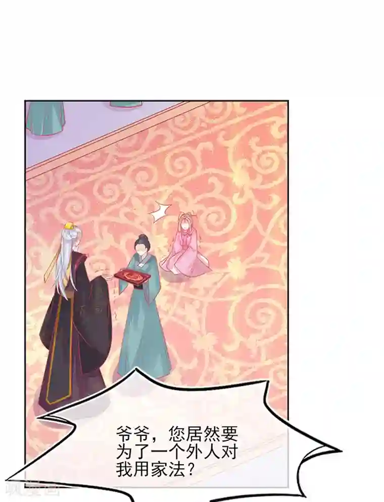 本王妃神藤在手第5话 叶家主怒动家法