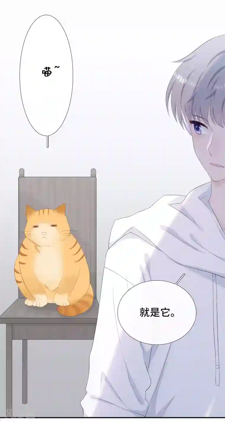 隔壁那个饭桶第6话 蹭吃蹭喝