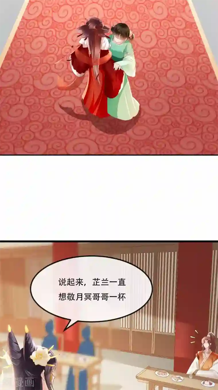 痴傻毒妃不好惹第52话 好戏上演