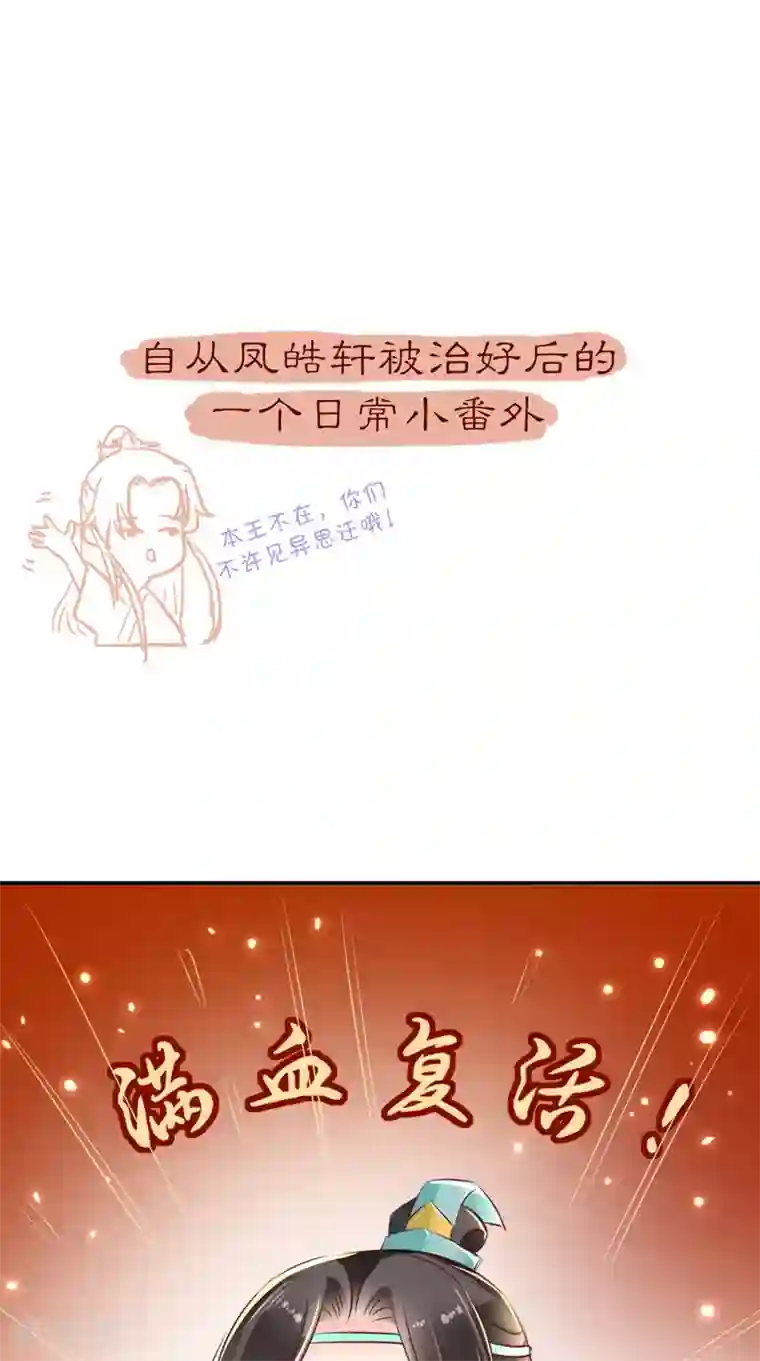 痴傻毒妃不好惹番外 等待半夏