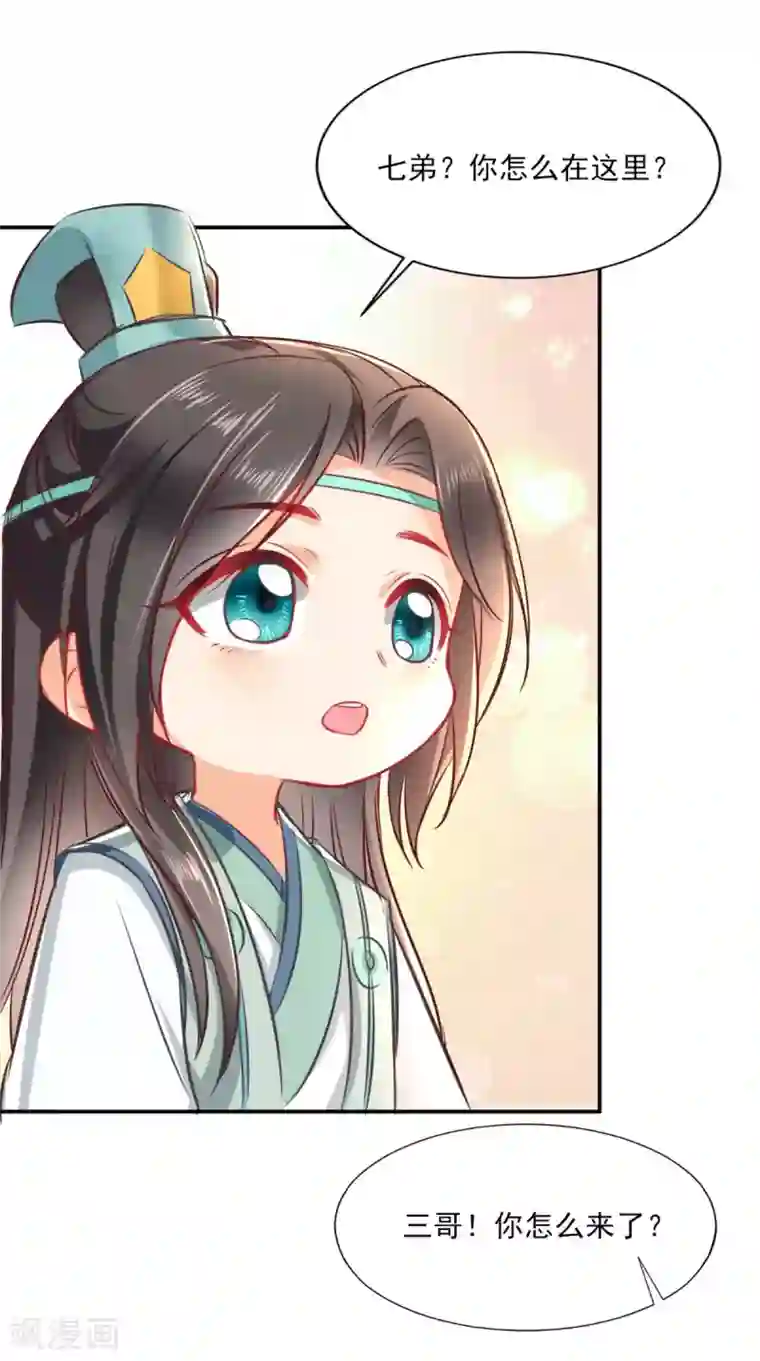 痴傻毒妃不好惹番外 等待半夏