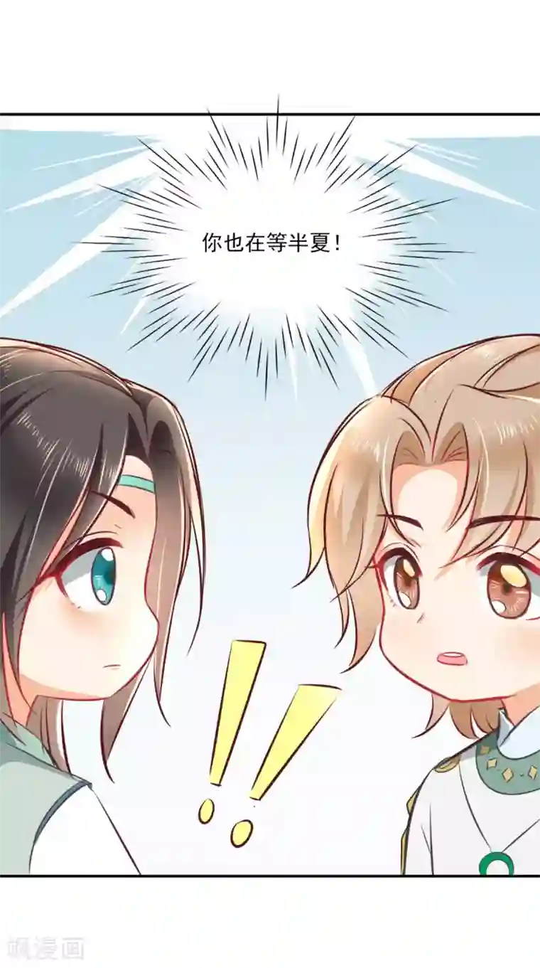 痴傻毒妃不好惹番外 等待半夏