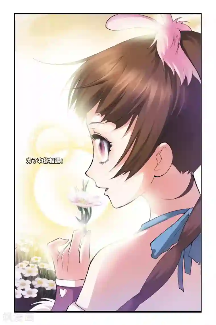 斗罗大陆第84话 人面魔蛛(下)