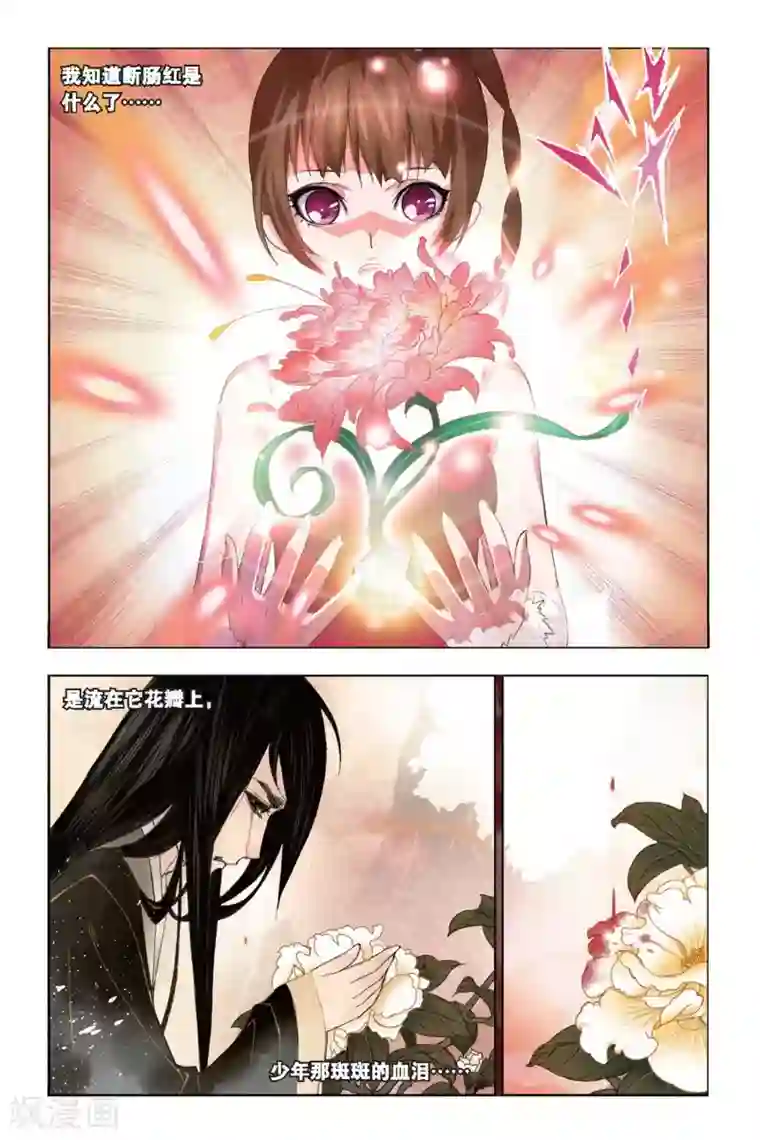 斗罗大陆第204话 绝世仙品(下)