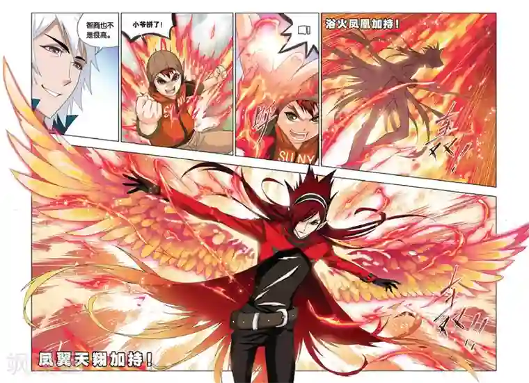 斗罗大陆第242话 凤凰啸天击(中)