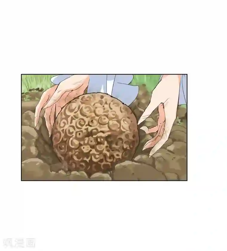 斗罗大陆第640话 简单的考验2