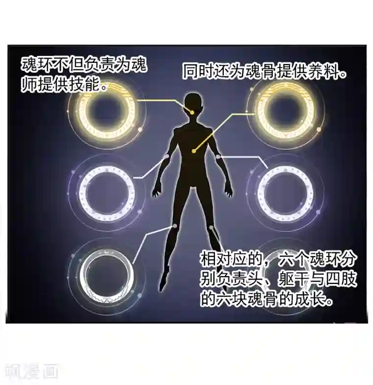 斗罗大陆第666话 开始修炼啦2