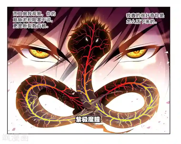 斗罗大陆第677话 死斗1