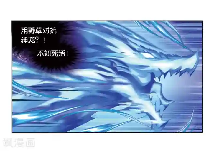 斗罗大陆第678话 死斗2