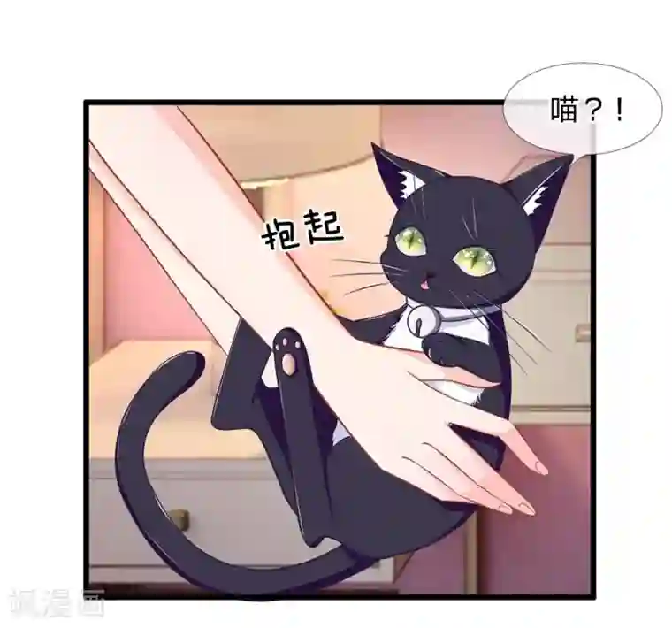 抱紧我的君主大人第107-108话 吃豆豆的猫