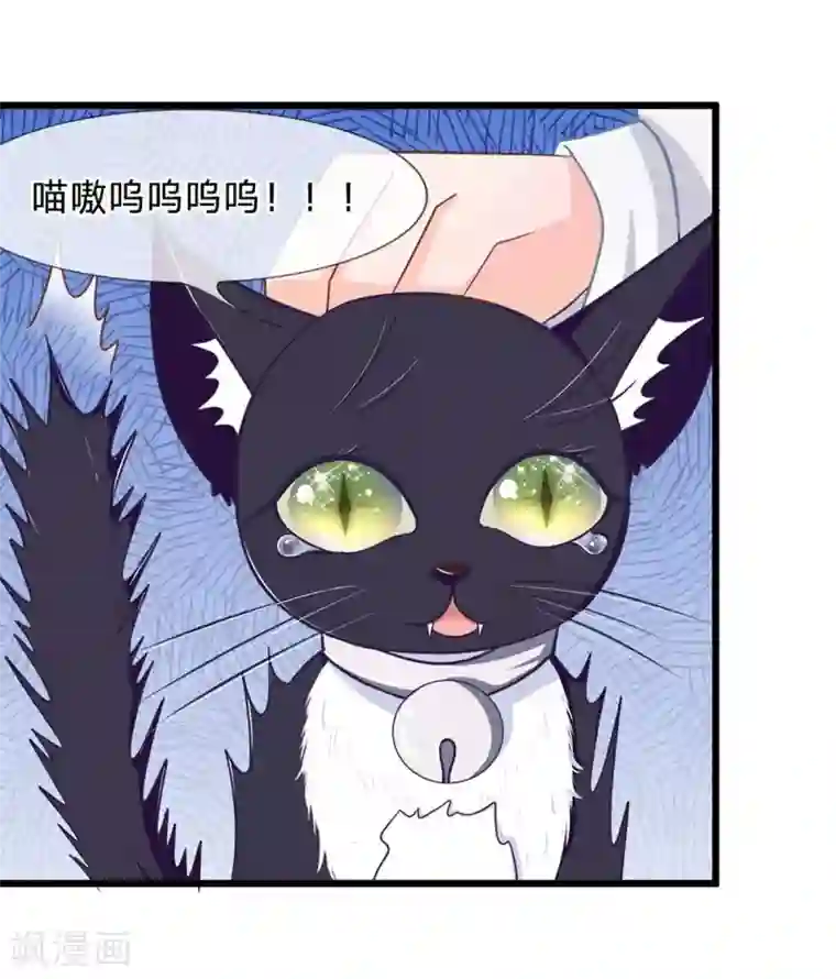 抱紧我的君主大人第107-108话 吃豆豆的猫
