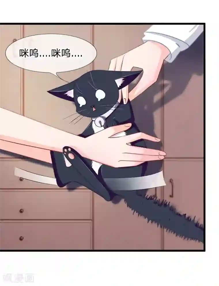 抱紧我的君主大人第107-108话 吃豆豆的猫