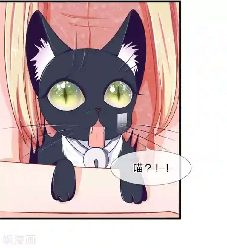 抱紧我的君主大人第107-108话 吃豆豆的猫