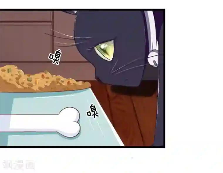 抱紧我的君主大人第107-108话 吃豆豆的猫