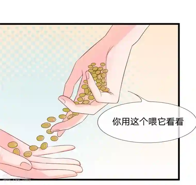 抱紧我的君主大人第107-108话 吃豆豆的猫