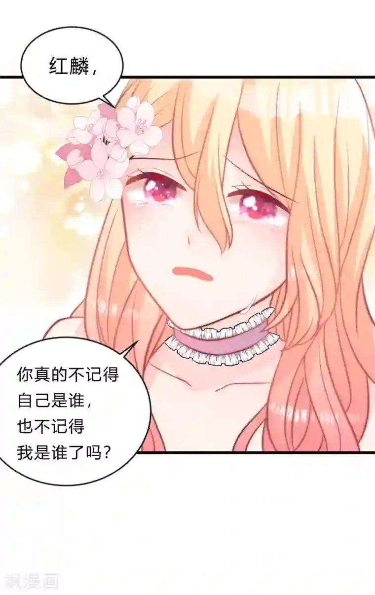 梦魇总裁的专属甜点第134话 红麟需要我