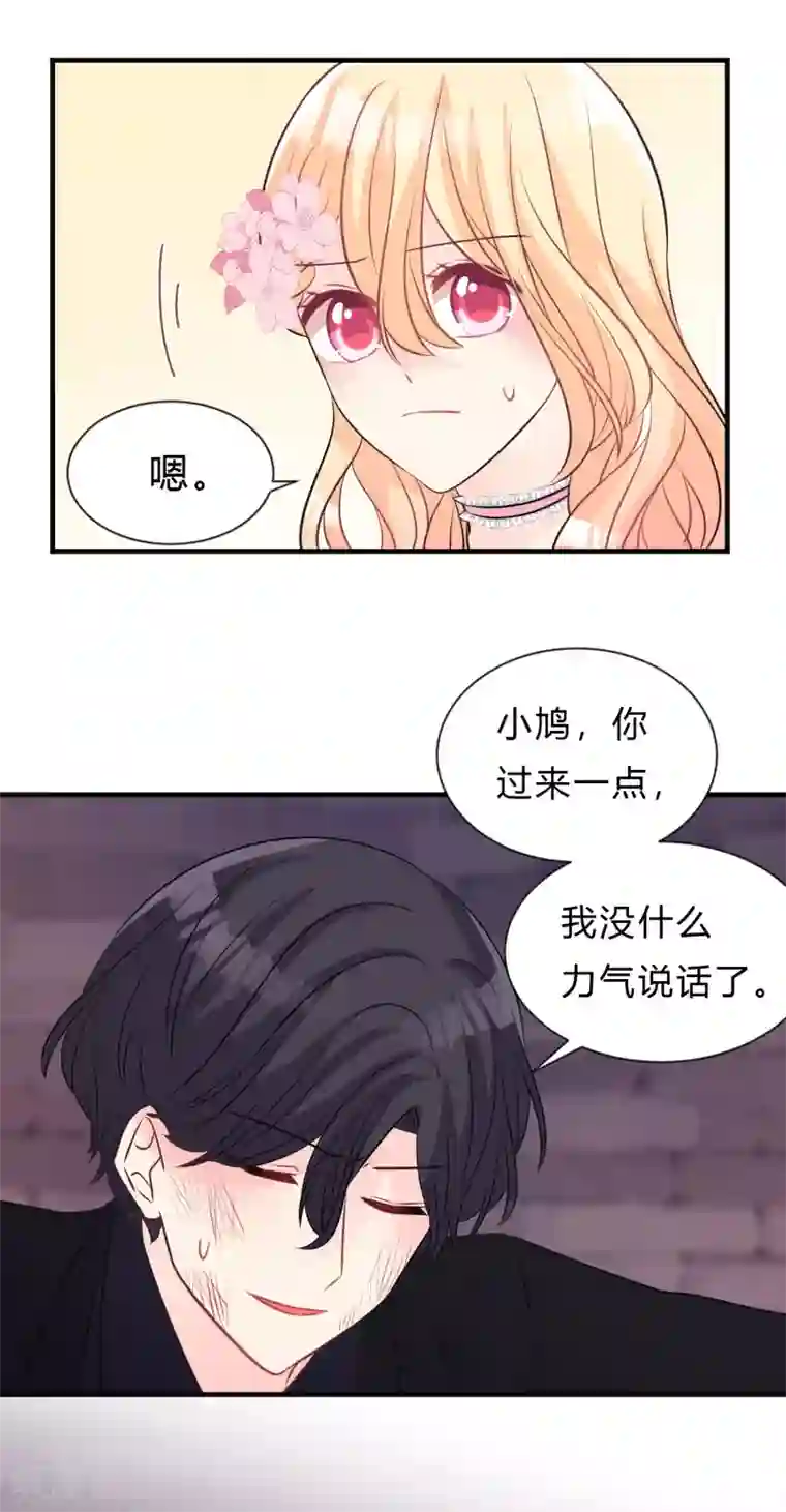 梦魇总裁的专属甜点第136话 小鸩，杀了我吧