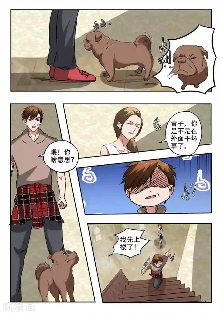 透视之眼（精修版）第231话