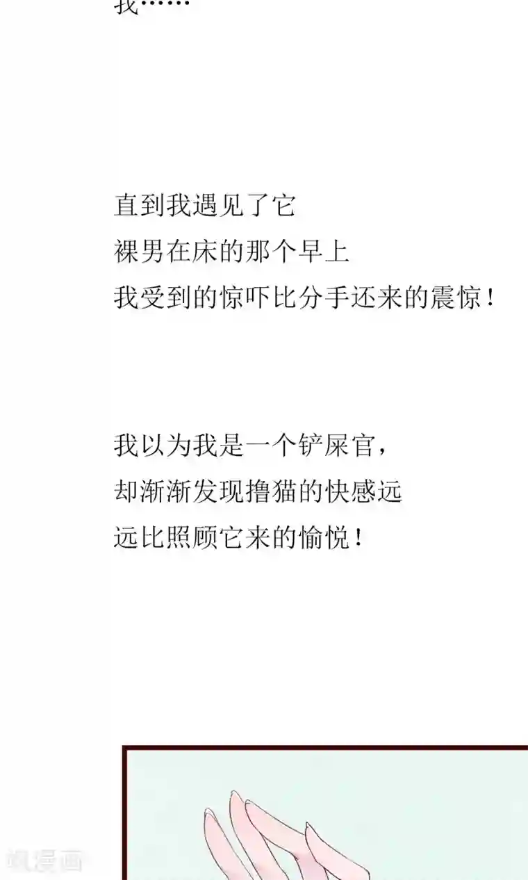 猫咪男友养成指南预告