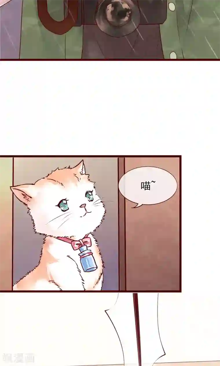 猫咪男友养成指南预告